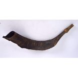 AN ANTIQUE HORN, naturalistic in form. 37 cm wide.