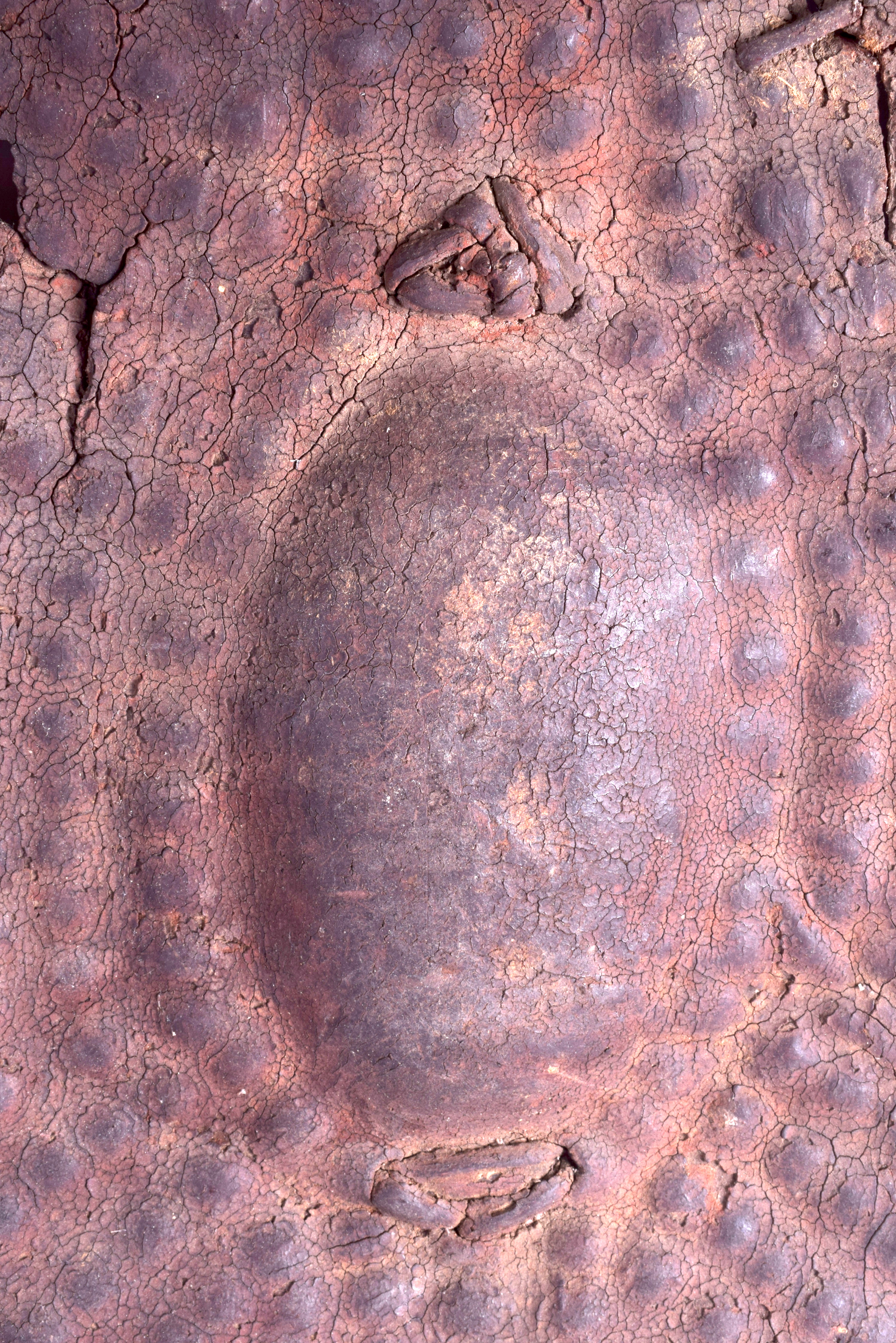 A 19TH CENTURY AFRICAN RHINOCEROS HORN HIDE SHIELD with dimpled decoration, possibly Ethiopian. 94 - Bild 3 aus 10