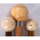 THREE VICTORIAN IVORY HANDLED WALKING CANES, spherical in form and one with a horn ferrule. 89 cm l