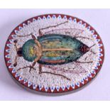 A FINE 19TH CENTURY ITALIAN MICRO MOSAIC INSECT BROOCH. 2.5 cm x 3 cm.