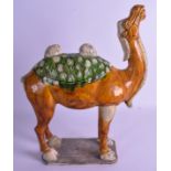 A LARGE 19TH CENTURY CHINESE SANCAI POTTERY FIGURE OF A CAMEL Tang Style, with drip glazed decorati