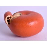 A 19TH CENTURY JAPANESE MEIJI PERIOD POLCHROMED TANGERINE of naturalistic form. 5 cm wide.