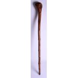 AN ANTIQUE CONTINENTAL FRUITWOOD CLUB, naturalistic in form with bulbous end. 95 cm long.