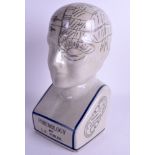 A POTTERY PHRENOLOGY HEAD. 30 cm x 10 cm.