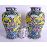 A LARGE PAIR OF 19TH CENTURY JAPANESE MEIJI PERIOD FAMILLE JAUNE VASES painted with hawks amongst f