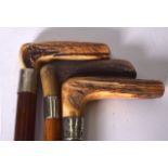 AN EARLY 20TH CENTURY ANTLER HANDLED WALKING CANE BEARING CHESTER HALLMARKS, together with two othe