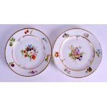 A PAIR OF 19TH CENTURY CONTINENTAL PORCELAIN PLATES painted with fruiting sprays. 21 cm diameter.