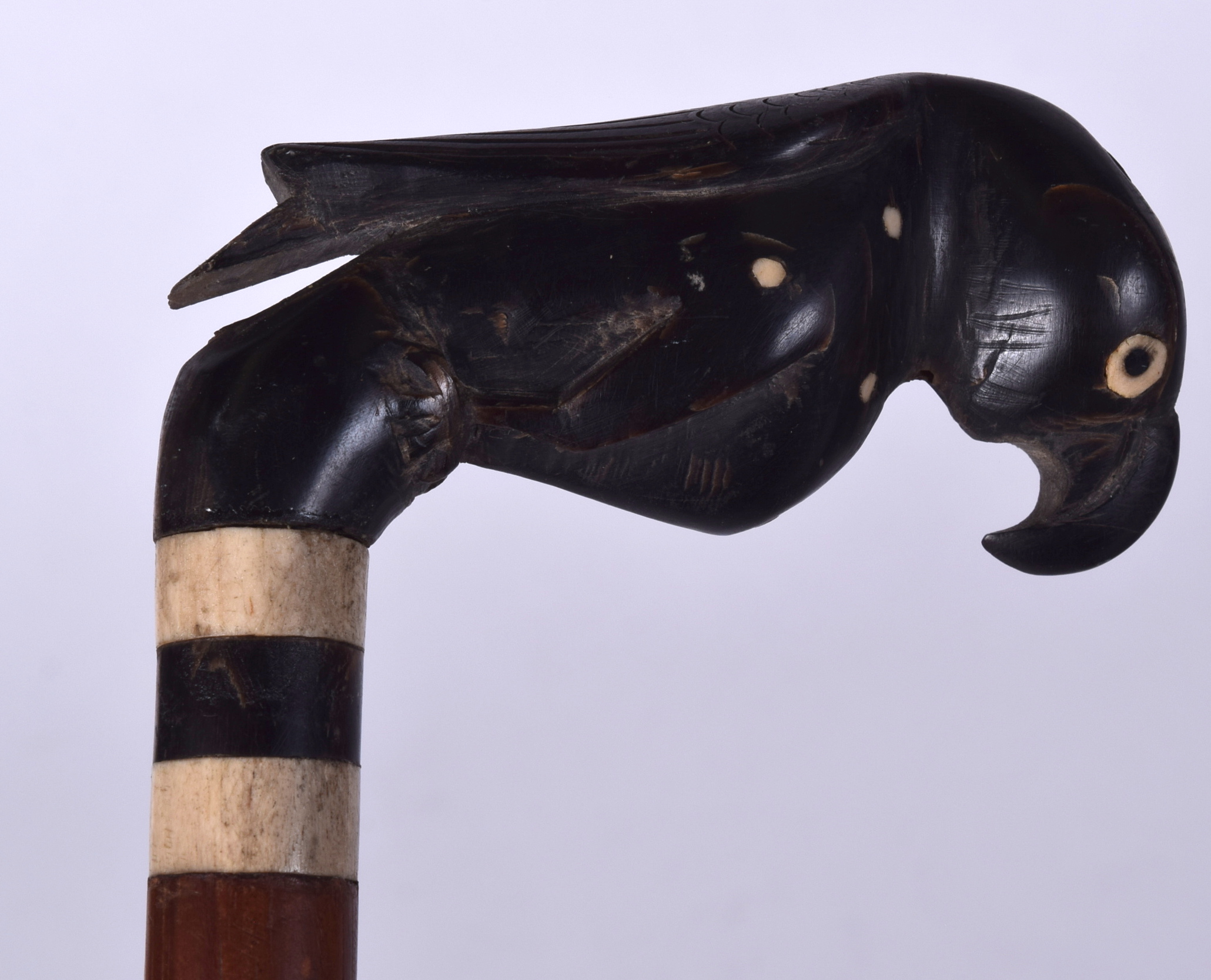 AN EARLY 20TH CENTURY BUFFALO HORN HANDLED WALKING CANE, the terminal in the form of a parrot. 91.5