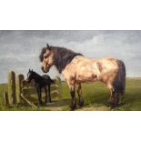 L M WEBB (British) FRAMED OIL ON CANVAS, signed & dated 1884, a standing horse with foal. 30.5 cm x