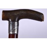 AN EARLY 20TH CENTURY RHINOCEROS HORN HANDLED WALKING STICK, formed with a silver collar. 86 cm lon