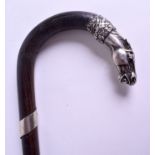 A 19TH CENTURY CONTINENTAL SILVER HORSE HEAD WALKING CANE possibly Russian. 83 cm long.