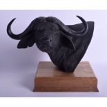 A LIMITED EDITION SCULPTURE OF AN AMERICAN BISON by Douglas, No 88 of 499. 34 cm x 22 cm.