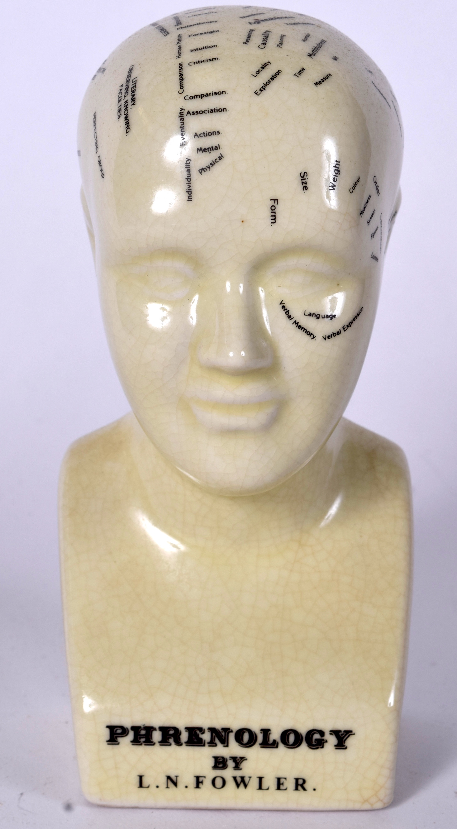 A PHRENOLOGY HEAD, “By L.N. Fowler”. 15.5 cm high. - Image 2 of 2