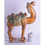 A RARE LARGE CHINESE TANG DYNASTY SANCAI GLAZED FIGURE OF A CAMEL 618-906, modelled with head raise