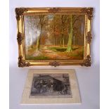 DAVID STRAIGHTWOOD (British) FRAMED OIL ON CANVAS, trees in an autumn landscape, together with a pr