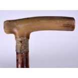 AN EARLY 20TH CENTURY BLOND RHINOCEROS HORN HANDLED WALKING STICK, formed with a wooden shaft. 80 c