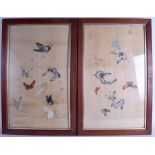 A PAIR OF 19TH CENTURY CHINESE FRAMED WATERCOLOURS depicting a group of butterflies. 63 cm x 36 cm.