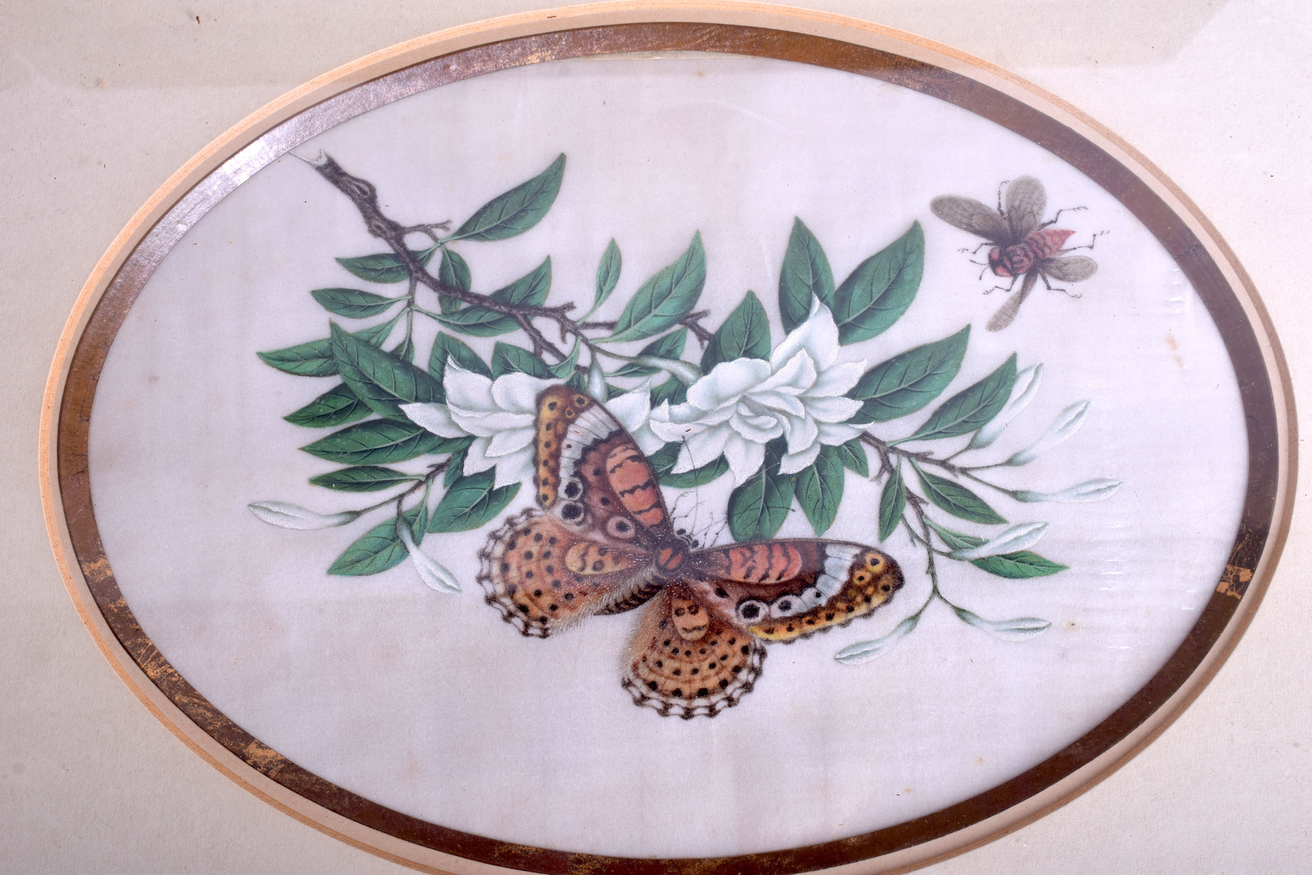 A LARGE SET OF FIVE 19TH CENTURY CHINESE PITH PAPER WATERCOLOURS Qing, depicting insect amongst fol - Image 7 of 9