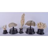 FOUR VINTAGE 1930S CORAL SPECIMENS together with a sponge. Largest 28 cm high. (5)