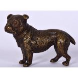 A BRONZE FIGURE OF A DOG, modelled standing. 7 cm wide.