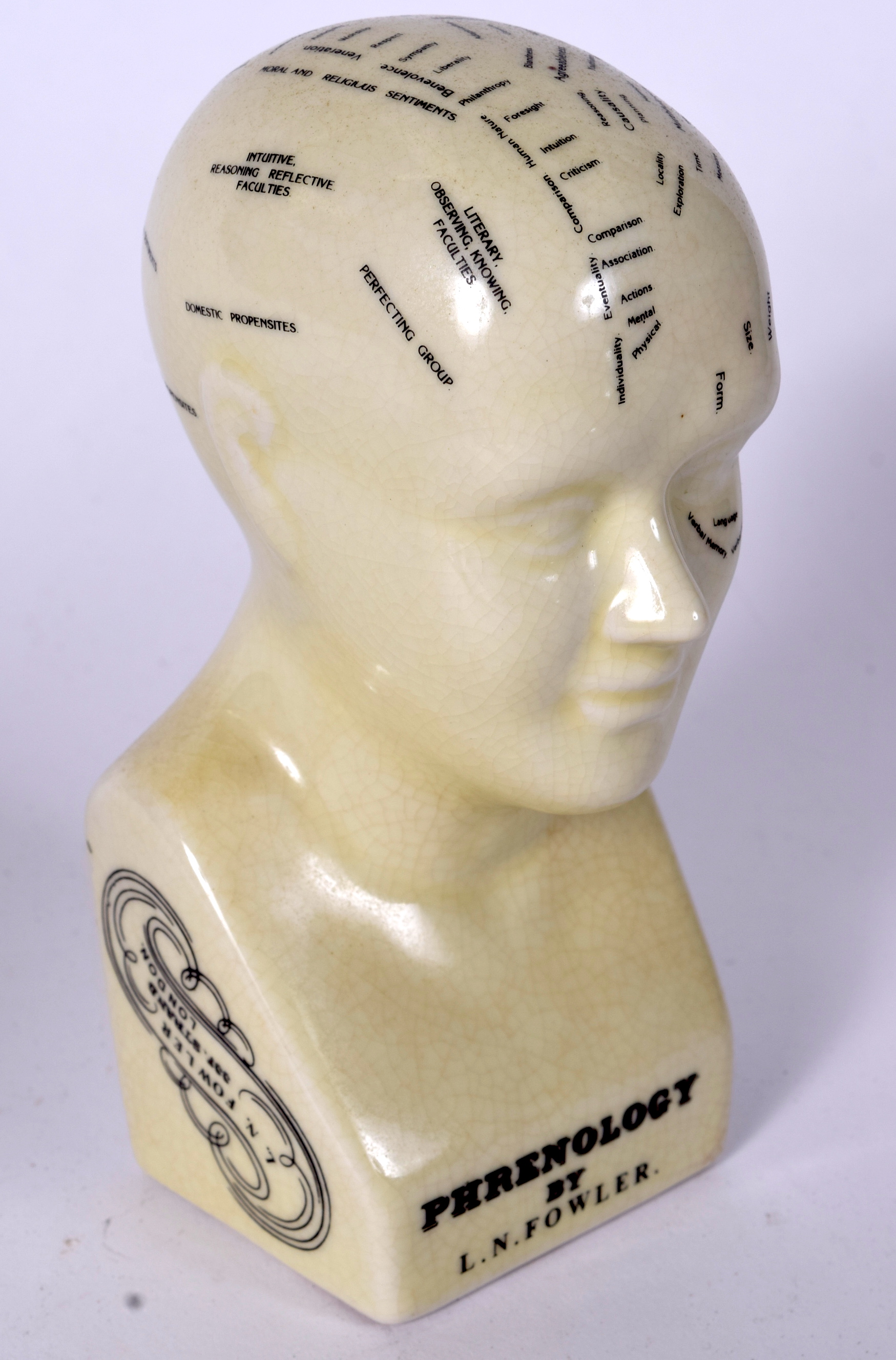 A PHRENOLOGY HEAD, “By L.N. Fowler”. 15.5 cm high.