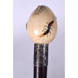 AN EARLY 20TH CENTURY JAPANESE SHIBAYAMA IVORY HANDLED WALKING CANE, decorated with insects. 87 cm