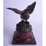 AN ANTIQUE AUSTRIAN COLD PAINTED BRONZE BIRD modelled upon a red marble base. 17 cm x 10 cm.