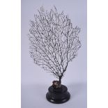AN EARLY 20TH CENTURY BLACK CORAL SPECIMEN. 56 cm high.
