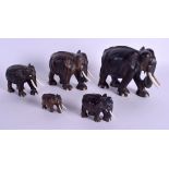 A SET OF FIVE ANGLO INDIAN HARDWOOD AND IVORY ELEPHANTS. Largest 15 cm x 13 cm. (5)