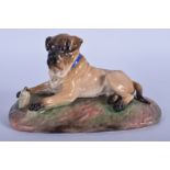 A 19TH CENTURY PORCELAIN FIGURINE OF A MASTIFF DOG, modelled upon a naturalistic base. 16 cm wide.