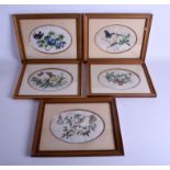 A LARGE SET OF FIVE 19TH CENTURY CHINESE PITH PAPER WATERCOLOURS Qing, depicting insect amongst fol