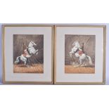 A SET OF EIGHT FRAMED PRINT ON SILK, horse riders from a Spanish riding school. 27 cm x 21.5 cm.