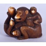 A FINE 19TH CENTURY JAPANESE MEIJI PERIOD STAINED IVORY OKIMONO modelled as grappling apes. 4 cm x