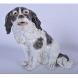 A PORCELAIN FIGURINE OF A BLACK & WHITE BOLOGNESE DOG, modelled seated. 21 cm x 23 cm.