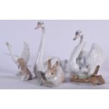 A GROUP OF LLADRO ANIMAL FIGURINES, including a large pair of swans. (6)