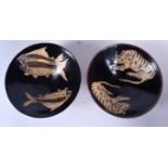 A PAIR OF CHINESE CIZHOU TYPE HARESFOOT POTTERY BOWLS, decorated with fish and tigers. 15.5 cm wide