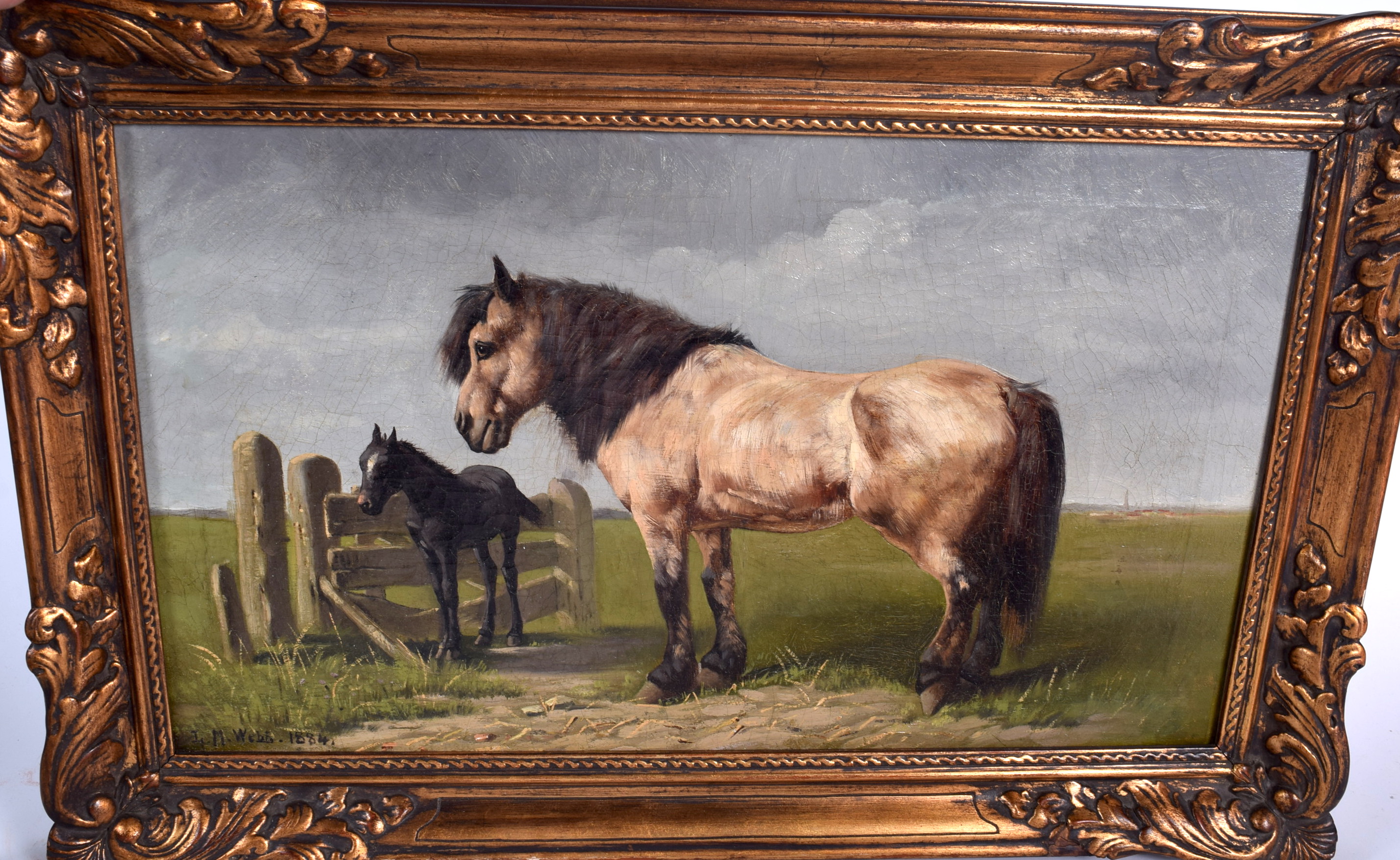 L M WEBB (British) FRAMED OIL ON CANVAS, signed & dated 1884, a standing horse with foal. 30.5 cm x