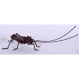 AN ARTICULATED JAPANESE BRONZE INSECT OKIMONO, unsigned. 14.5 cm long.