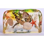 A DUNHILL TYPE ACRYLIC FISH AQUARIUM SCULPTURE, depicting an under water scene. 23 cm wide.
