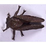 A BRONZE FIGURE OF A CICADA FLY, unsigned. 4.75 cm long.