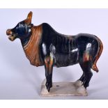 A LARGE CHINESE TANG STYLE FIGURE OF A COW, formed upon a rectangular shaped base. 35 cm x 42 cm.