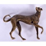 A BRONZE FIGURE OF A GREYHOUND, modelled standing. 5.5 cm x 6.75 cm.