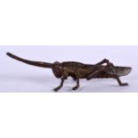 A JAPANESE BRONZE OKIMONO IN THE FORM OF A GRASSHOPPER, unsigned. 11.75 cm long.