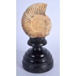 AN ANTIQUE AMMONITE FOSSIL SPECIMEN. 14 cm high.