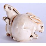 AN EARLY 20TH CENTURY JAPANESE MEIJI PERIOD CARVED IVORY HARES NETSUKE. 3.5 cm x 3.5 cm.