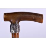 AN EARLY 20TH CENTURY RHINOCEROS HORN HANDLED WALKING STICK, formed with a silver collar.. 77 cm lo