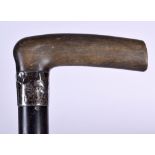 AN EARLY 20TH CENTURY RHINOCEROS HORN HANDLED WALKING STICK, formed with a silver collar. 83 cm lon