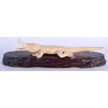 AN UNUSUAL AN EARLY 20TH CENTURY JAPANESE MEIJI PERIOD IVORY CROCODILE of naturalistic form. 26 cm