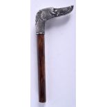 AN ANTIQUE CONTINENTAL SILVER DOG HEAD WALKING CANE HANDLE. 15 cm x 6 cm.