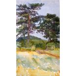 DAVID STRAIGHTWOOD (British) UNFRAMED WATERCOLOUR, “Dire Straightwoods”, landscape scenery. 19 cm x